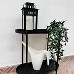 Dimora Dileonardo Apartmán